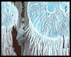 Bloody Thumb Tikis - Island Art Studio|Bocas del Toro